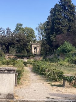 IMG_9326.jpeg IMG_9326.jpeg