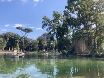 IMG_9333.jpeg IMG_9333.jpeg