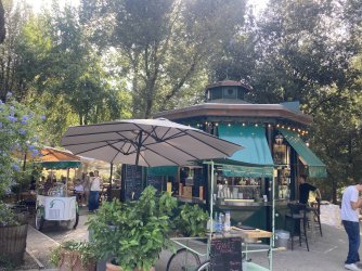 IMG_9343.jpeg IMG_9343.jpeg