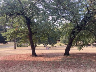 IMG_9344.jpeg IMG_9344.jpeg