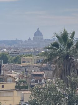 IMG_9355.jpeg IMG_9355.jpeg