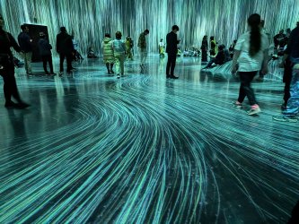 PXL_20241202_081530146.jpg PXL_20241202_081530146.jpg