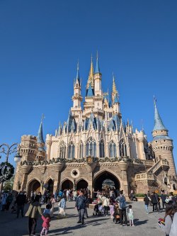 PXL_20241203_031736155.jpg PXL_20241203_031736155.jpg