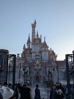 PXL_20241203_064058647.jpg PXL_20241203_064058647.jpg