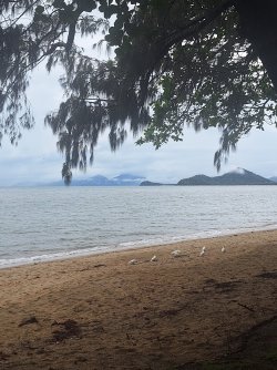 20241204_090345.jpg 20241204_090345.jpg