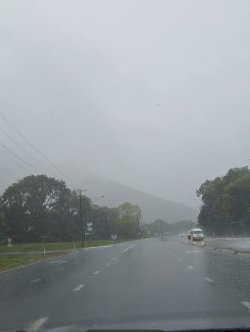 Screenshot_20241204_155859_Gallery.jpg Screenshot_20241204_155859_Gallery.jpg