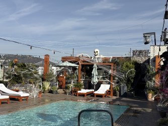 IMG_7414.jpeg IMG_7414.jpeg