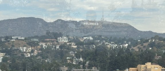 IMG_7436.jpeg IMG_7436.jpeg