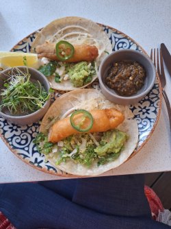 20241204_182007.jpg 20241204_182007.jpg