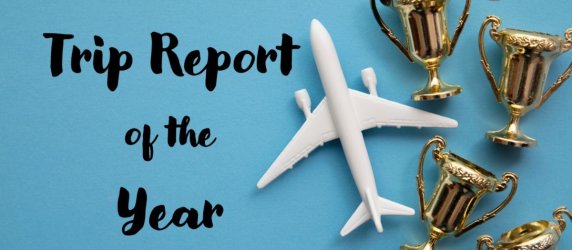 Vote now for AFF's 2024 Trip Report of the Year!