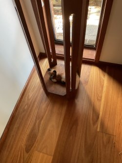 IMG_1686.jpeg IMG_1686.jpeg