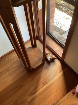 IMG_1685.jpeg IMG_1685.jpeg