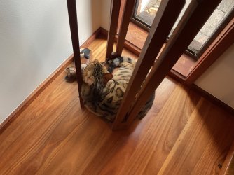 IMG_1682.jpeg IMG_1682.jpeg