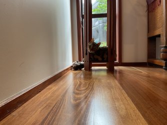 IMG_1681.jpeg IMG_1681.jpeg