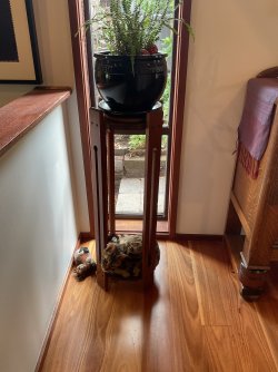 IMG_1680.jpeg IMG_1680.jpeg