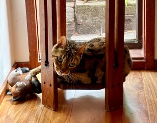 IMG_1117.jpeg IMG_1117.jpeg