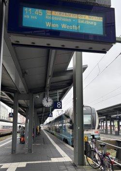 IMG_4830.jpeg IMG_4830.jpeg