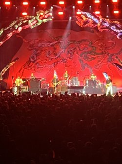 IMG_0698.jpeg IMG_0698.jpeg