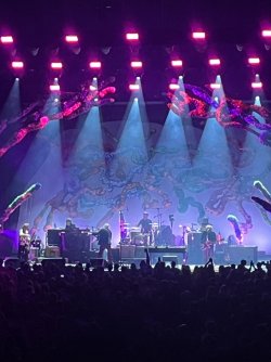 IMG_0699.jpeg IMG_0699.jpeg