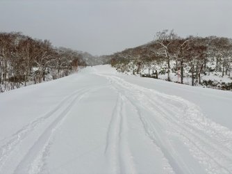 IMG_4785.jpeg IMG_4785.jpeg