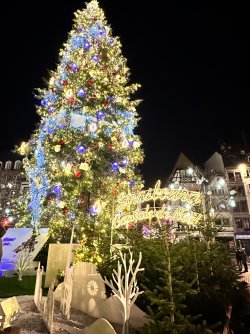 IMG_7106.JPG IMG_7106.JPG