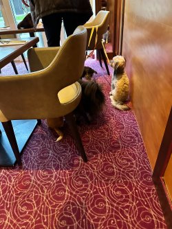 IMG_7132.JPG IMG_7132.JPG