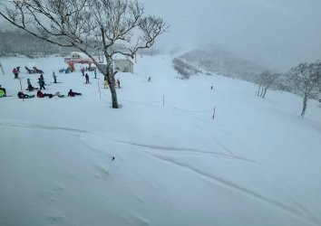 IMG_4808.jpeg IMG_4808.jpeg