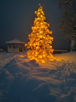 IMG20231202165421.jpg IMG20231202165421.jpg