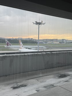 IMG_0410.jpeg IMG_0410.jpeg