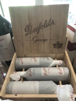 IMG_1977.jpeg IMG_1977.jpeg