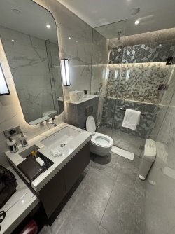 IMG_0433.jpeg IMG_0433.jpeg