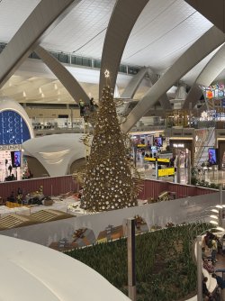 IMG_0432.jpeg IMG_0432.jpeg