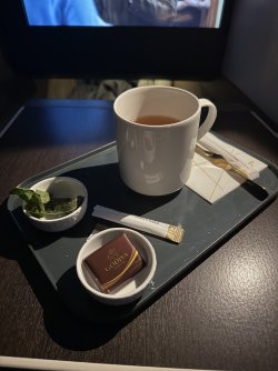 IMG_0444.jpeg IMG_0444.jpeg