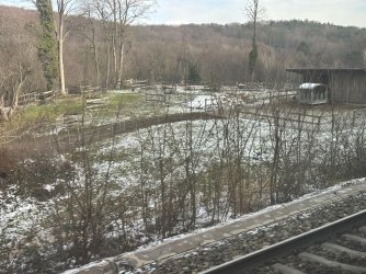 IMG_7320.JPG IMG_7320.JPG