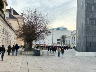 IMG_7339.JPG IMG_7339.JPG