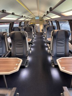 IMG_4835.jpeg IMG_4835.jpeg