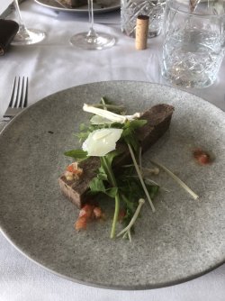 IMG_2008.jpeg IMG_2008.jpeg