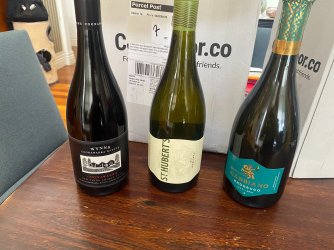 IMG_5819.jpeg IMG_5819.jpeg