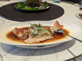 PXL_20240617_041231605.MP_7ff55960.jpg PXL_20240617_041231605.MP_7ff55960.jpg