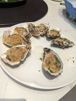 PXL_20240617_042237125.MP_3d03959f.jpg PXL_20240617_042237125.MP_3d03959f.jpg