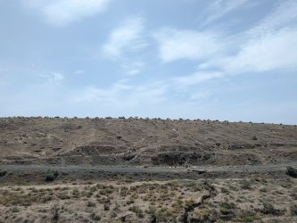 PXL_20240625_053945356.MP_942c0a6f.jpg PXL_20240625_053945356.MP_942c0a6f.jpg