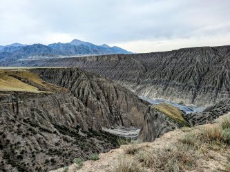 PXL_20240625_094309319.MP~2_ba630ed4.jpg PXL_20240625_094309319.MP~2_ba630ed4.jpg