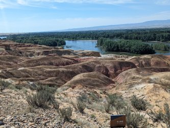 PXL_20240626_033200645.MP_045c2255.jpg PXL_20240626_033200645.MP_045c2255.jpg