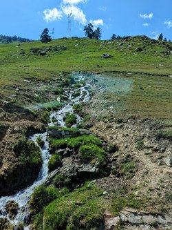 PXL_20240626_075621298.MP~2_1a9520e5.jpg PXL_20240626_075621298.MP~2_1a9520e5.jpg