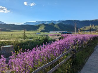 PXL_20240626_125343156.MP_0ee7d3c1.jpg PXL_20240626_125343156.MP_0ee7d3c1.jpg