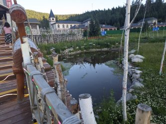 PXL_20240626_133316807.MP_4491abc7.jpg PXL_20240626_133316807.MP_4491abc7.jpg