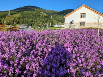 PXL_20240626_130056489.MP.jpg PXL_20240626_130056489.MP.jpg