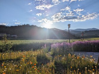 PXL_20240626_125930115.MP.jpg PXL_20240626_125930115.MP.jpg