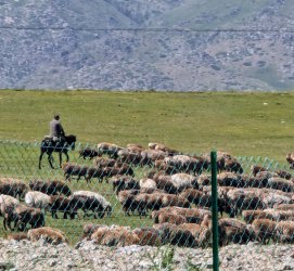 PXL_20240626_073710095.MP~2.jpg PXL_20240626_073710095.MP~2.jpg