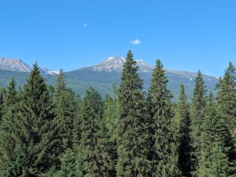 PXL_20240627_021650658.MP_2cc6a0e6.jpg PXL_20240627_021650658.MP_2cc6a0e6.jpg